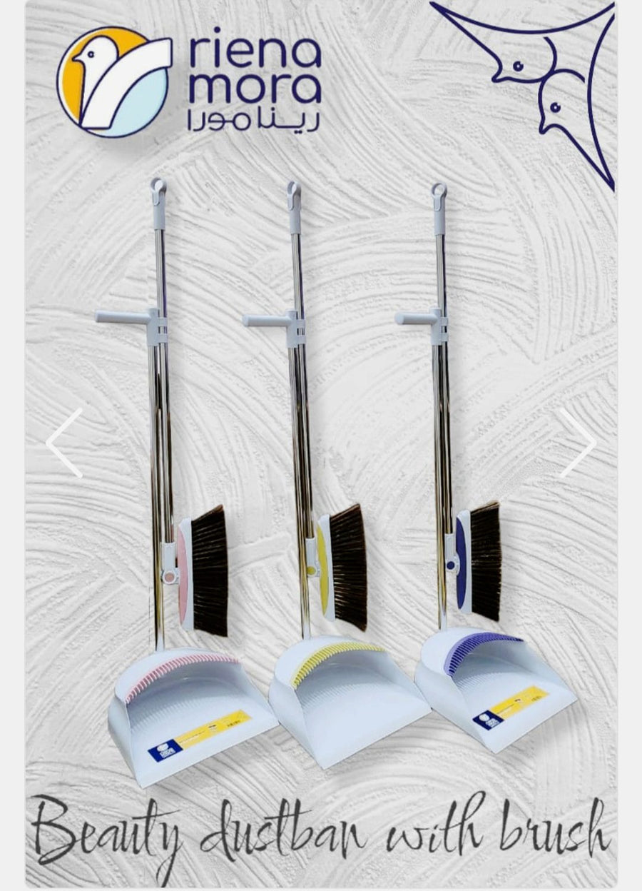 Dustpan and brush
