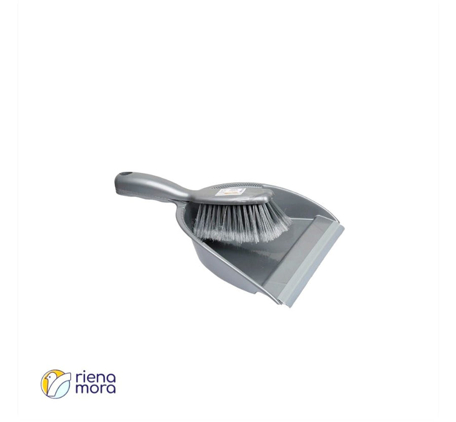 Dustpan and brush