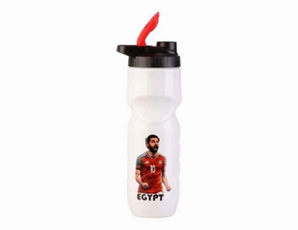 زجاجة الفرعون المصري