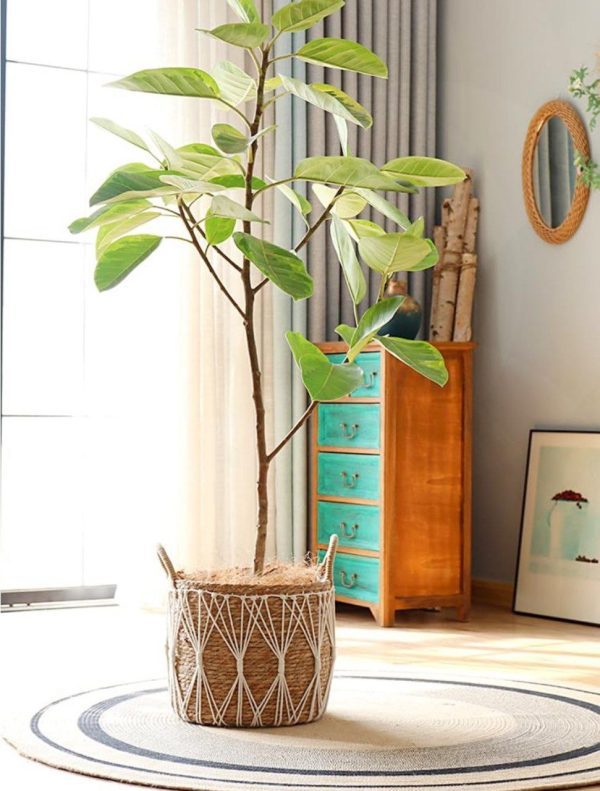 ⁦طقم باسكت خوص مدور _ 3*1⁩ - الصورة ⁦3⁩