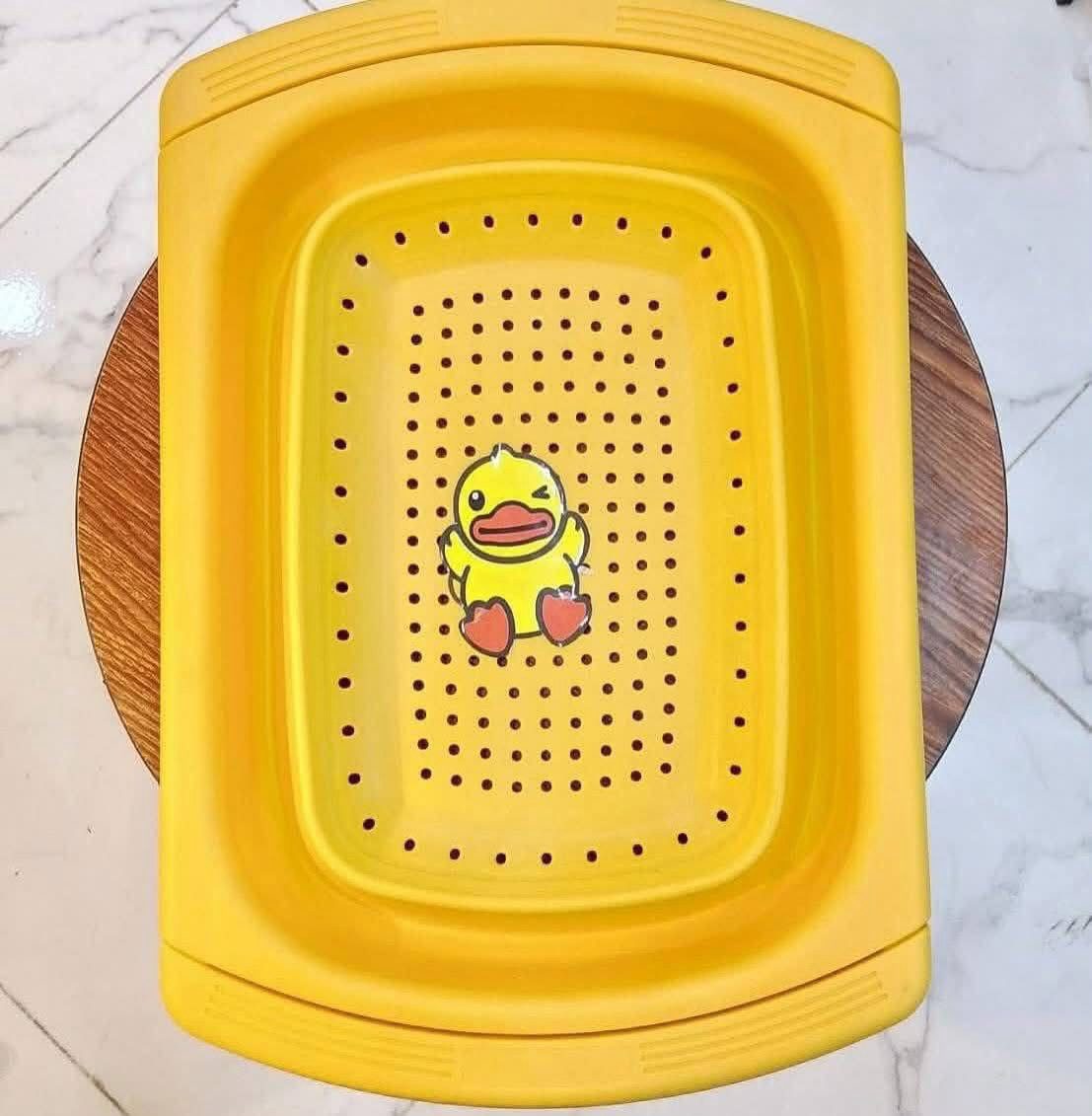 مصفي حوض بطوط